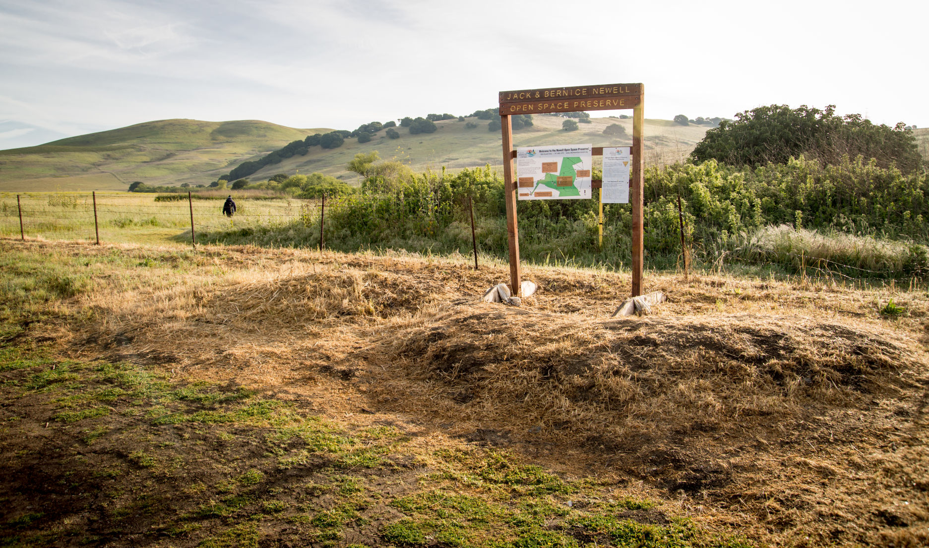 Newell Open Space